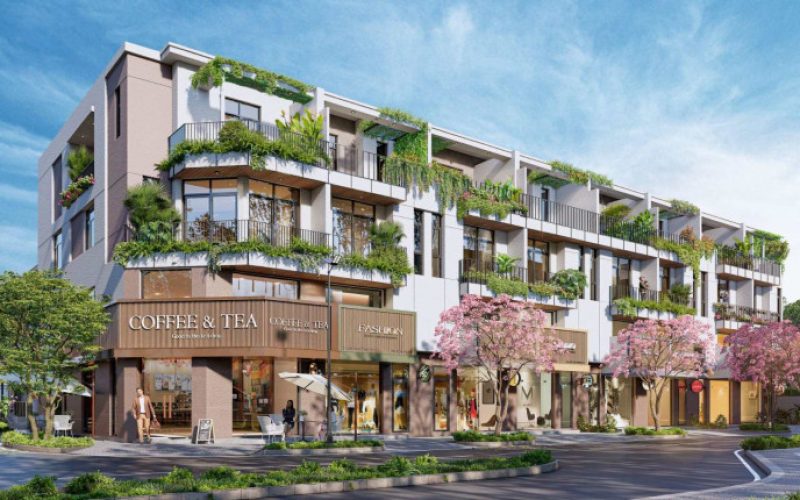 24A11035-1-768x430[1]